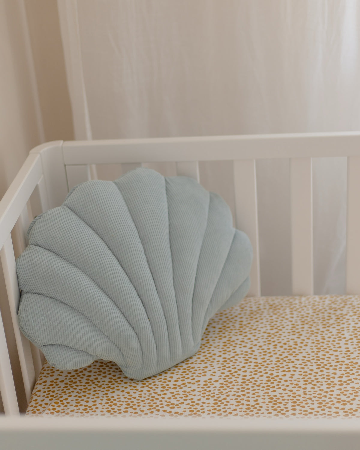 Shell Cushion