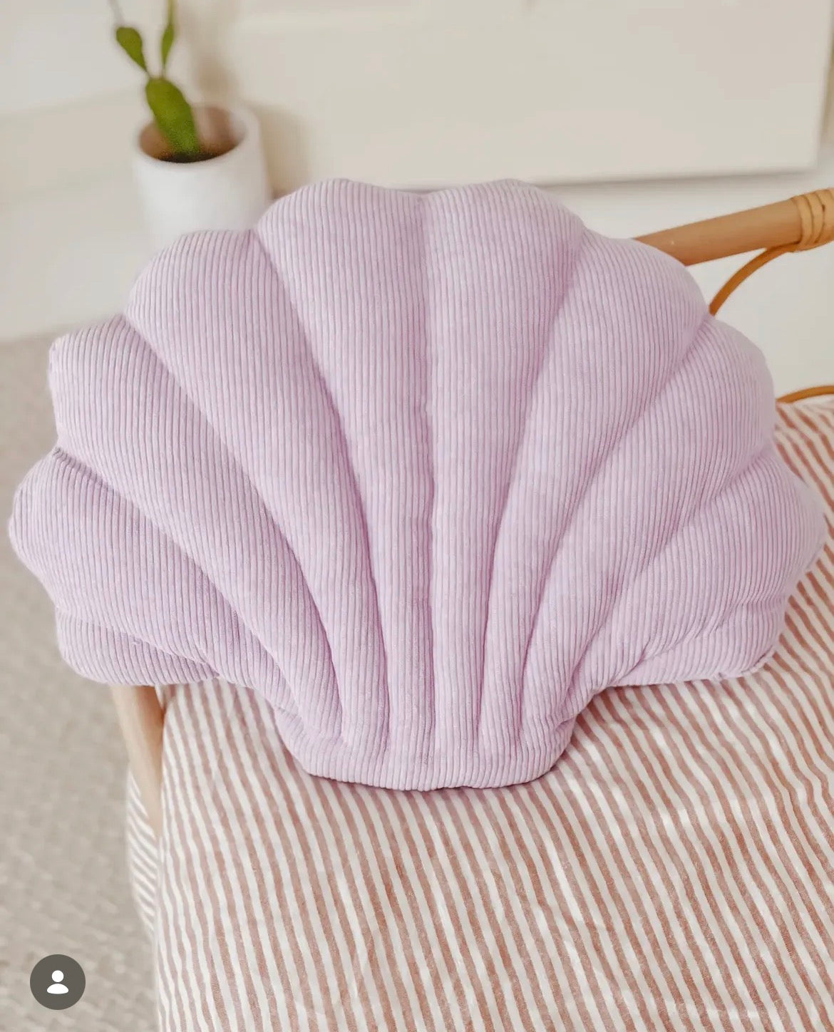 Shell Cushion